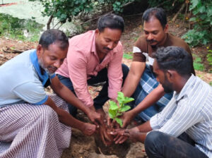 Tree Planting Initiative
