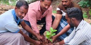 Tree Planting Initiative